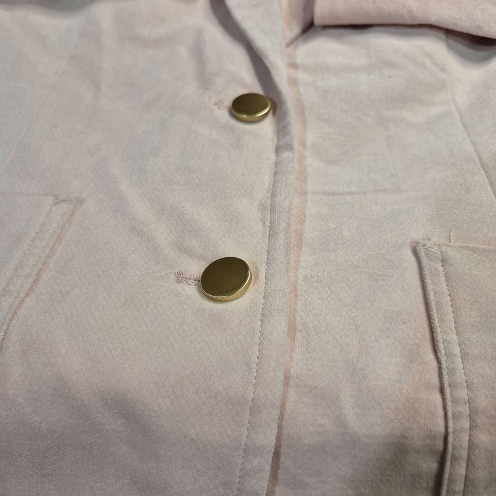 Free Assembly Blush Pink Velvet Blazer with Gold Buttons 2731/847 - Picture 2 of 11